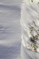 neve que caiu durante uma queda de neve e grama seca foto