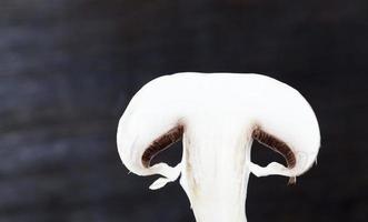 pedaços de champignon branco foto