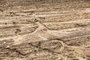 arado para semear a terra foto