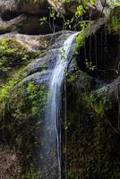 uma cachoeira natural em uma grande floresta em meio à bela natureza. foto