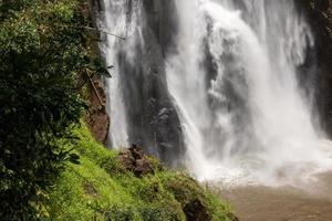 uma cachoeira natural em uma grande floresta em meio à bela natureza. foto