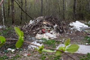 depósito de lixo na floresta perto da estrada foto