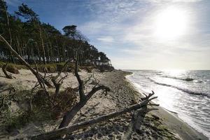 praia oeste na praia do mar Báltico. natureza morta detalhada e texturizada. foto