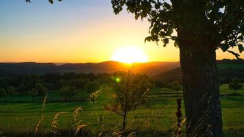 pôr do sol no Sarre em um prado com árvores e vista para o vale foto