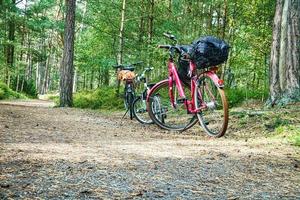 passeio de bicicleta pela floresta no darss. pausa e bicicleta estacionada foto