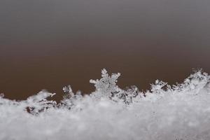 floco de neve e cristal de gelo na neve. mostrado individualmente. atmosfera de inverno foto