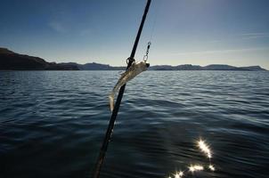 férias de pesca em selje noruega. vara e molinete estão prontos para pescar. um paraíso para os pescadores foto