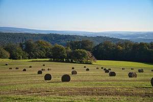 um prado cheio de fardos de palha amarrados na frente de uma borda de floresta foto