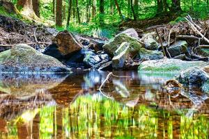 longa exposição de uma pequena cachoeira em um córrego da floresta foto