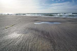 praia oeste na praia do mar Báltico. natureza morta detalhada e texturizada. foto