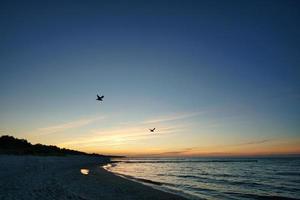 vista sobre a praia para o mar Báltico ao pôr do sol com gaivotas no céu foto