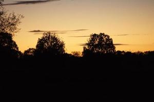 pôr do sol com céu ardente atrás das árvores. foto