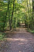 paisagem com colinas, campos, prados e agricultura. caminhadas na natureza. foto