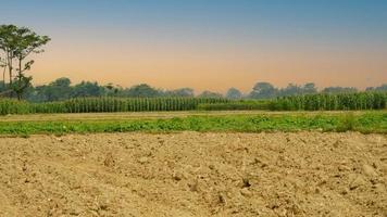 paisagem rural com campo, árvores e grama foto