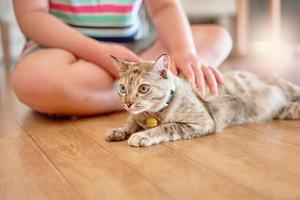 criança gato de estimação no chão foto