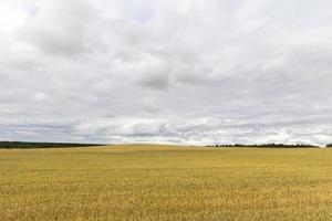 tempo monótono e chuvoso foto