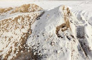 areia amarela sob a neve foto