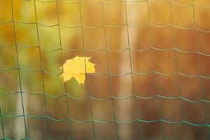 fim do conceito de temporada de esportes foto