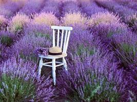 cadeira branca com buquê de lavanda e chapéu de palha na flor de lindas flores de lavanda. viagens, natureza, verão, conceito de agricultura foto