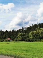 um grande campo verde com árvores ao fundo em aggtelek foto