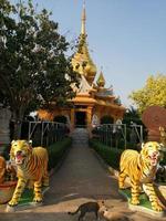 buda cor de ouro templo tailandês coisas sagradas crença foto