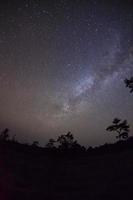 silhueta de árvore e via láctea no parque nacional de phu hin rong kla, phitsanulok tailândia. fotografia de longa exposição. foto