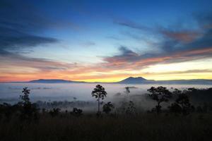 amanhecer enevoado na floresta no parque nacional thung salang luang phetchabun, tailândia foto