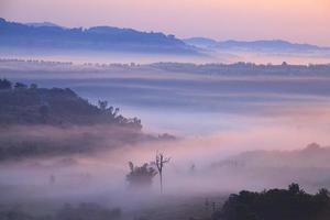 nevoeiro no ponto de vista khao takhian ngo em khao-kho phetchabun, tailândia foto