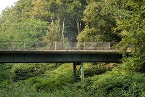 ponte velha na floresta foto