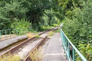 antiga ponte ferroviária na floresta foto