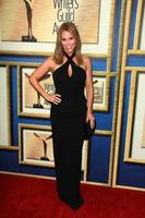 los angeles, 14 de fevereiro - cheryl hines no 2015 writers guild awards em um século plaza hotel em 14 de fevereiro de 2015 na cidade do século, ca foto