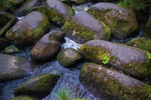 um rio de montanha com enormes pedras com floresta verde moss.wild de taiga. foto