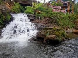 cachoeira natureza espumante rio na vista da rocha bela natureza foto