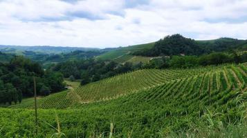 as paisagens de monta d'alba durante a mangialonga, na langhe piemontesa no início do verão foto