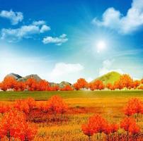 paisagem de outono. natureza. foto