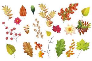 fundo de outono com folhas coloridas brilhantes. foto