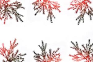 os galhos da árvore coberta de neve árvore de natal foto