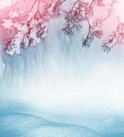 fundo de natal com ramos de abeto cobertos de neve foto