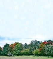 paisagem de outono com belas árvores coloridas brilhantes. foto