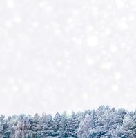 floresta de inverno congelado com árvores cobertas de neve. foto