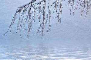 floresta de inverno congelado com árvores cobertas de neve. foto