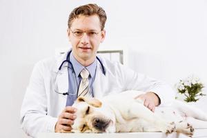 cão na clínica veterinária foto