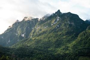 vista da montanha pela manhã foto