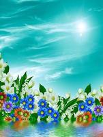 ramo de flores de jasmim em um fundo de céu azul com nuvens foto