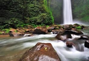 cachoeira na selva de bali foto