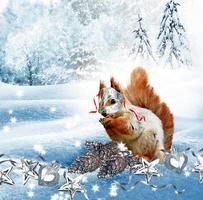 o esquilo na floresta de inverno. cartão de ano novo. foto