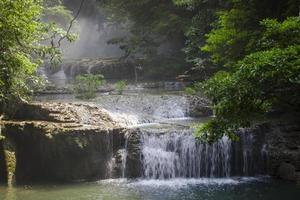 cachoeira na selva foto