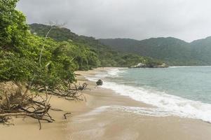 ondas batendo na praia isolada da selva do Caribe. foto