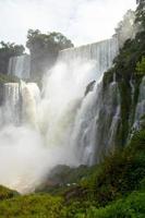bela natureza selvagem selva paisagem floresta tropical iguazu cachoeiras argentina foto