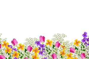flores coloridas da primavera foto